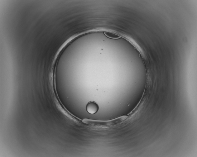 X0000115831100200911201500