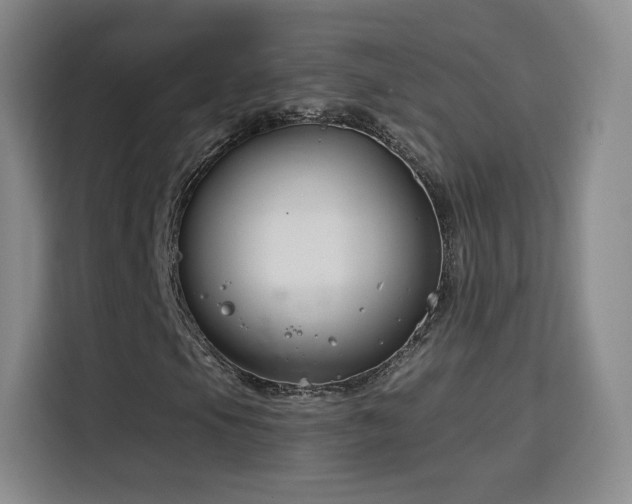 X0000115831105200911201459