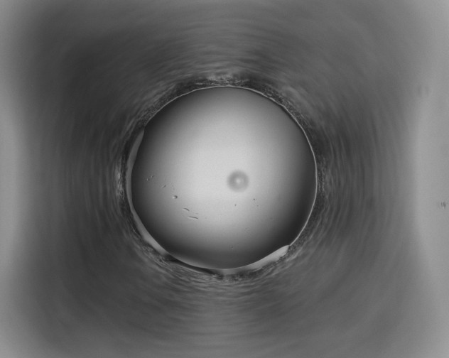 X0000115831106200911201459