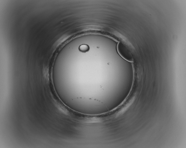 X0000115831113200911201500