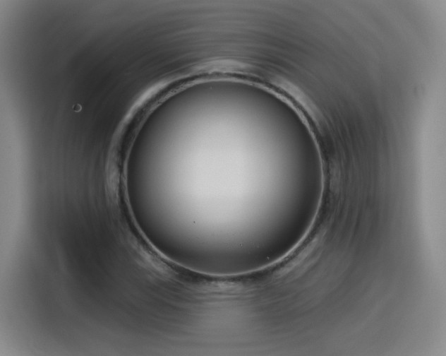 X0000115831115200911201500