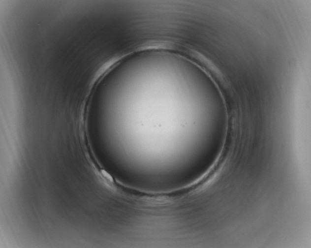 X0000115831129200911201500