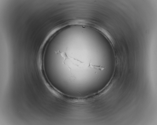 X0000115831131200911201500