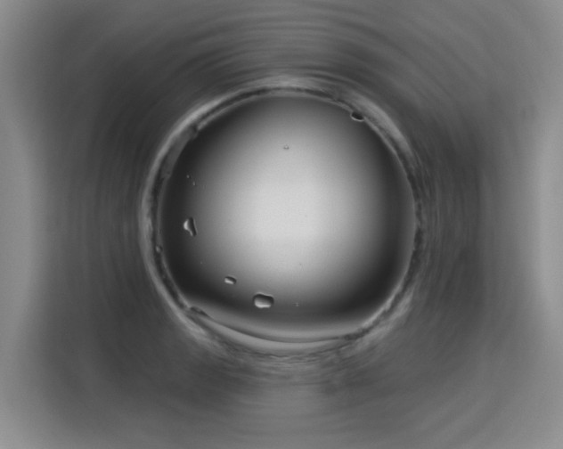 X0000115831133200911201500