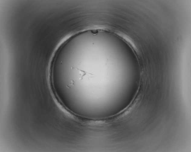 X0000115831135200911201500