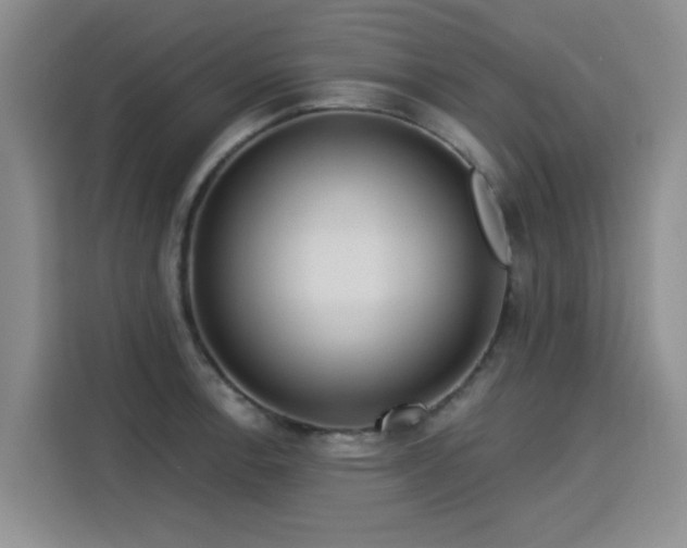 X0000115831138200911201500