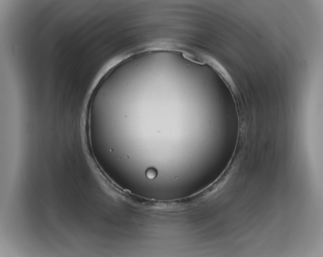 X0000115831146200911201500