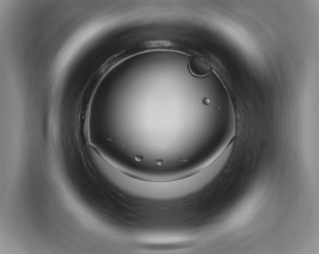 X0000115831151200911201500