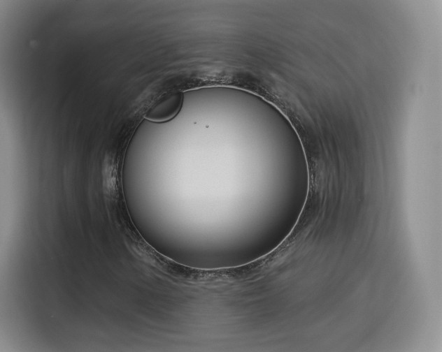 X0000115831154200911201459