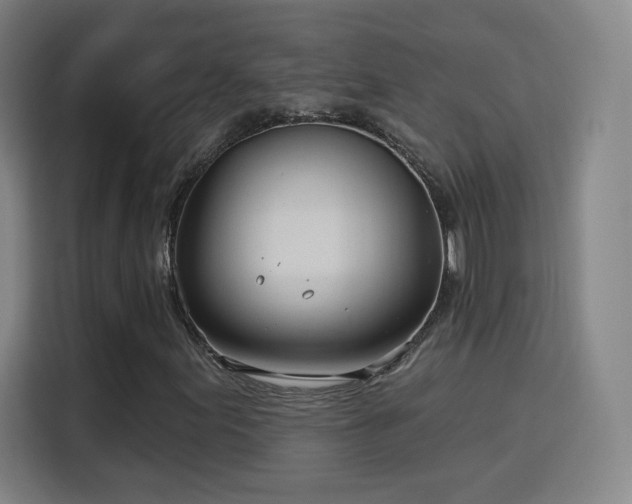 X0000115831155200911201459