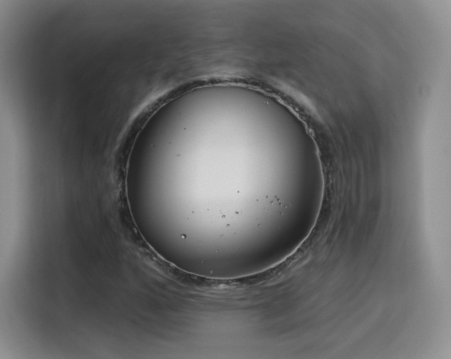 X0000115831160200911201459