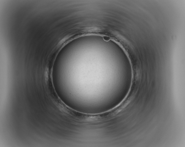 X0000115831161200911201459