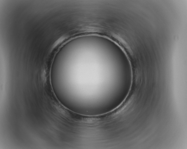 X0000115831163200911201459