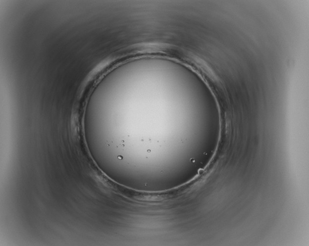 X0000115831164200911201459