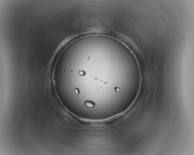 X0000115831168200911201459