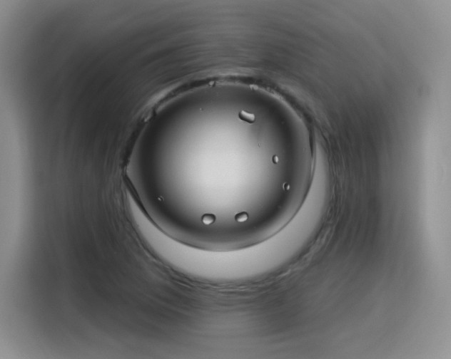 X0000115831169200911201459