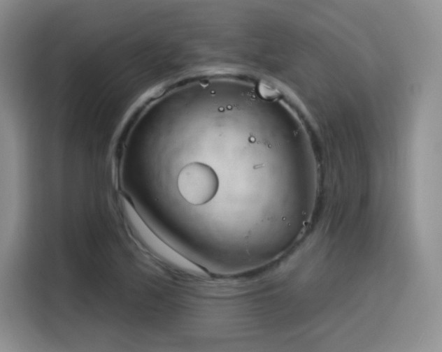 X0000115831171200911201459