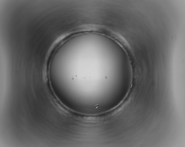 X0000115831172200911201459