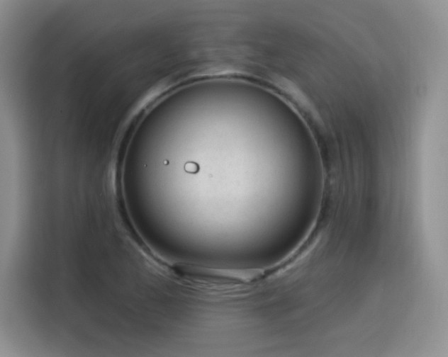 X0000115831173200911201459