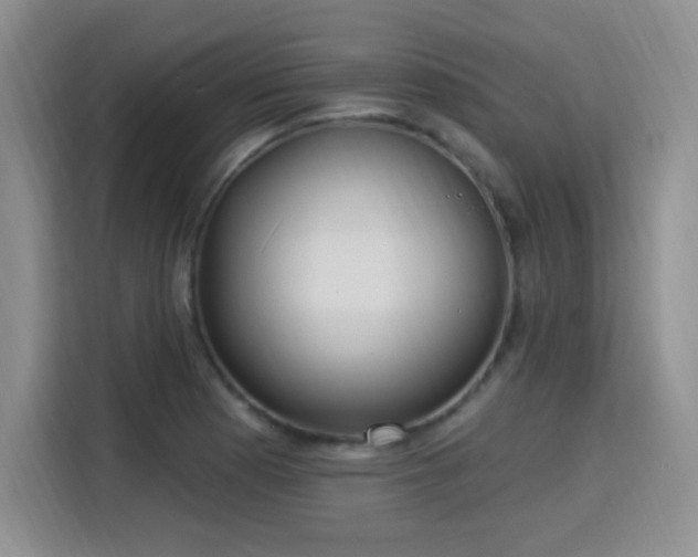 X0000115831177200911201459