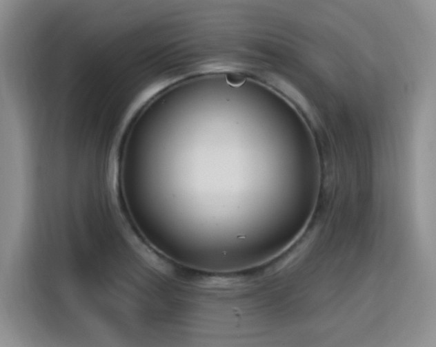 X0000115831179200911201459