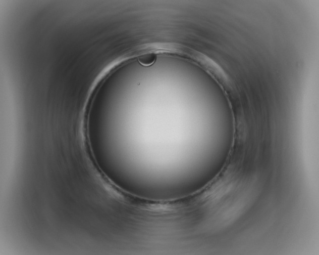 X0000115831182200911201459