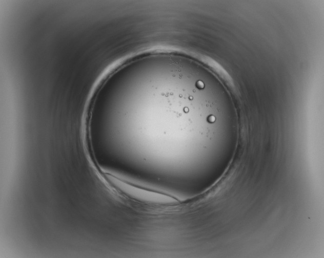 X0000115831183200911201459