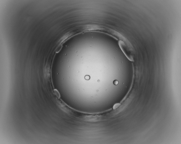 X0000115831185200911201459