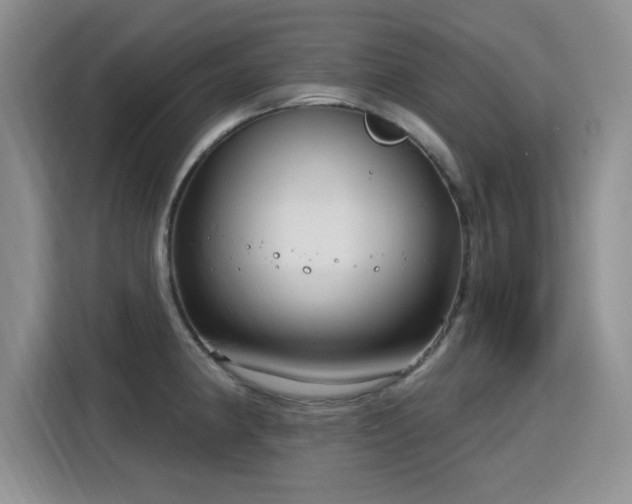 X0000115831190200911201459