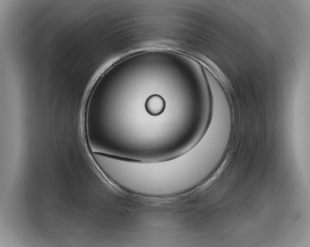 X0000115831196200911201459