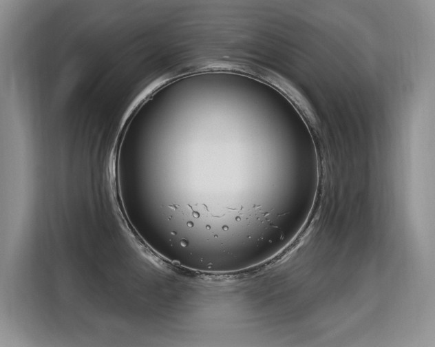 X0000115831198200911201459