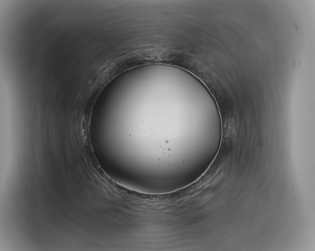 X0000115831202200911201458