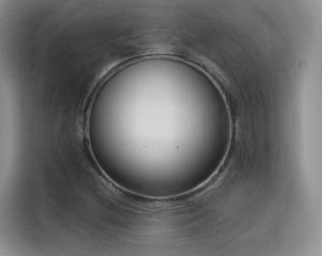 X0000115831212200911201458