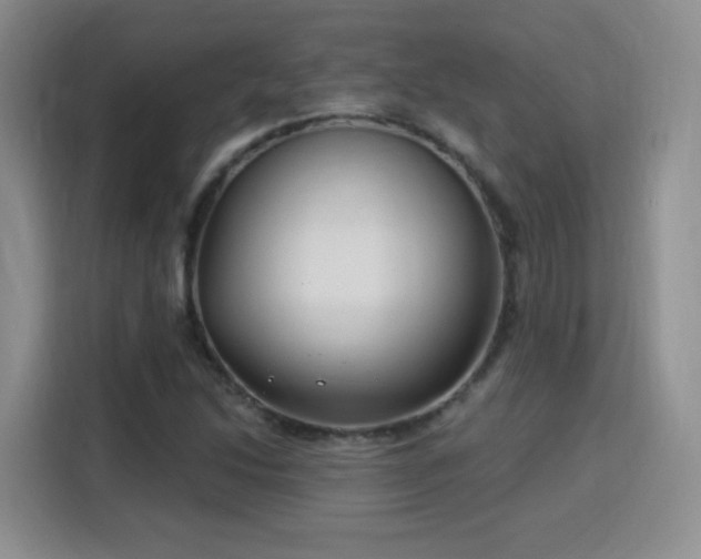 X0000115831214200911201458