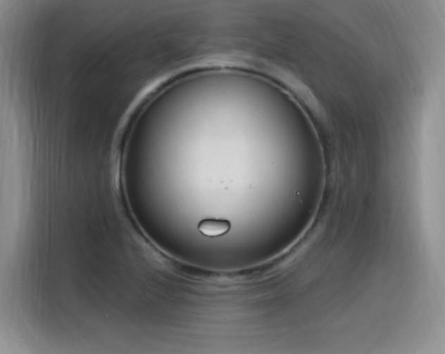 X0000115831224200911201459