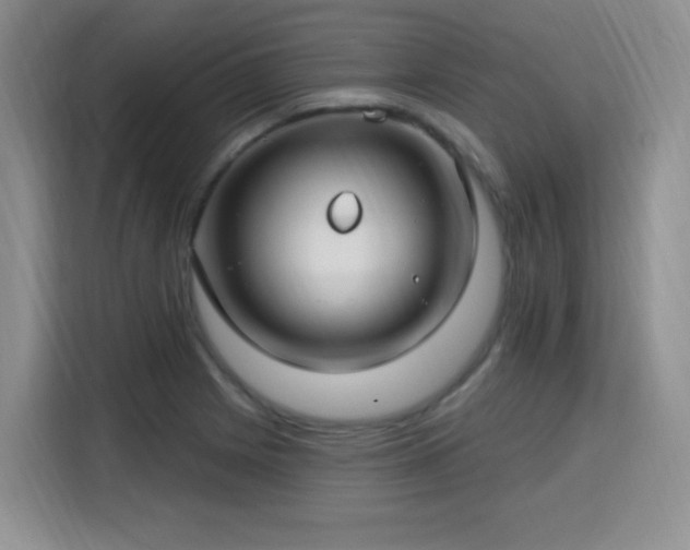 X0000115831225200911201459