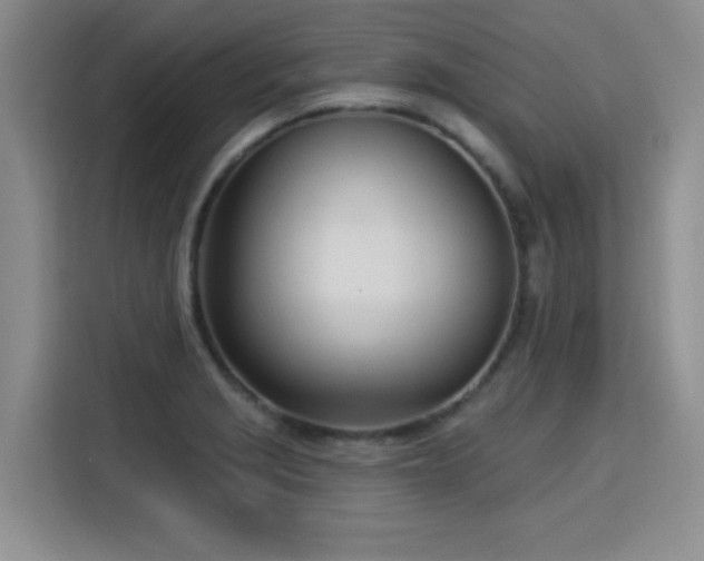 X0000115831229200911201459