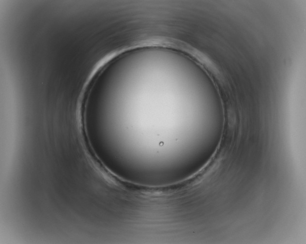 X0000115831230200911201459