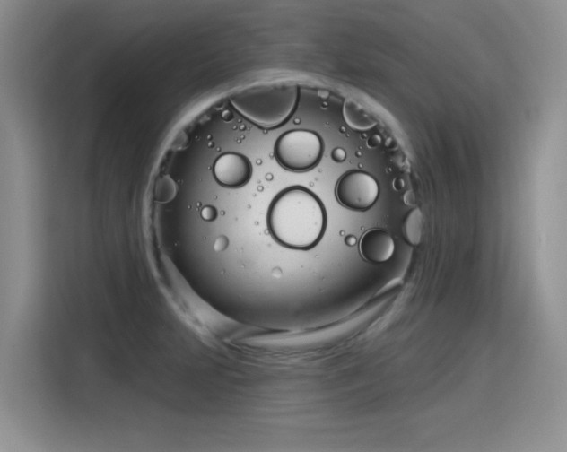 X0000115831231200911201459