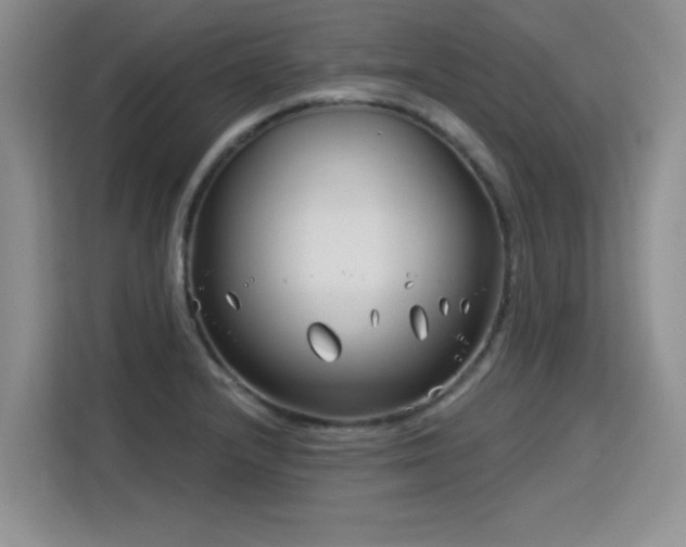 X0000115831232200911201459