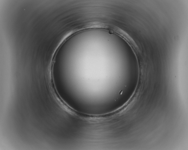 X0000115831236200911201459