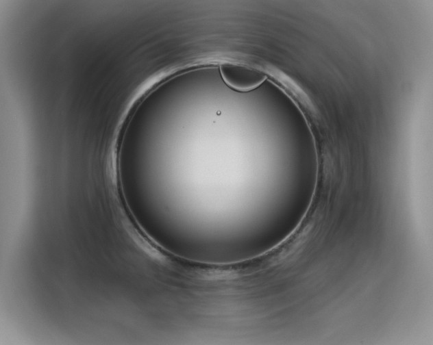 X0000115831238200911201459