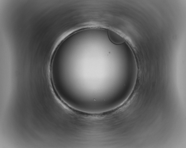 X0000115831239200911201459