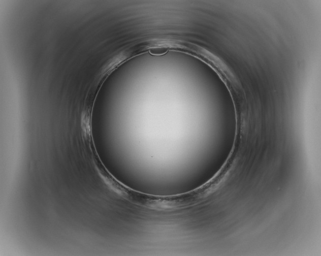 X0000115831241200911201459