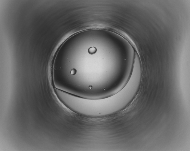 X0000115831243200911201459