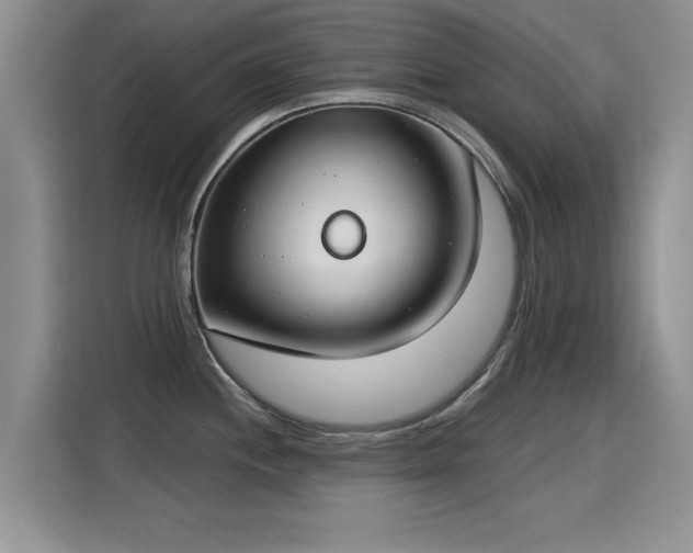 X0000115831244200911201459