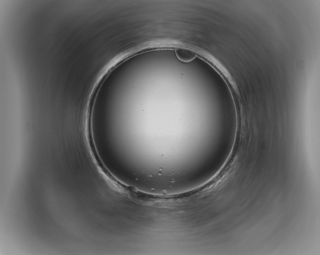 X0000115831245200911201459