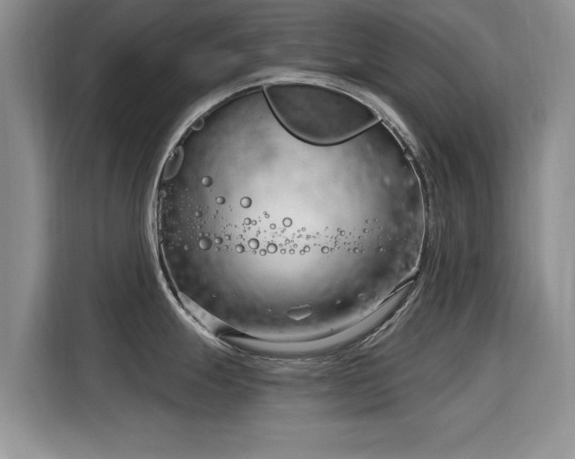 X0000115831247200911201459