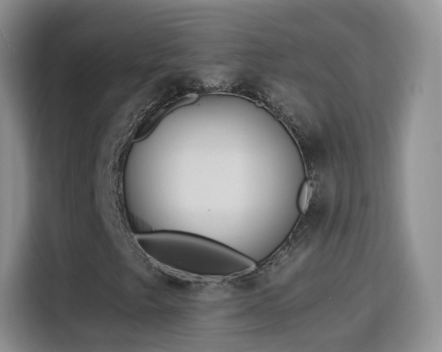 X0000115831249200911201458