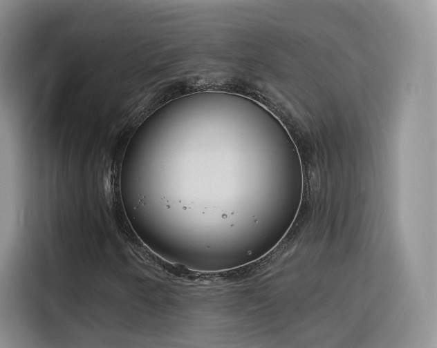 X0000115831250200911201458